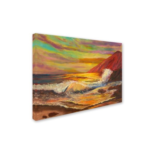 Manor Shadian 'Ka'ena Coast Sunset' Canvas Art,18x24